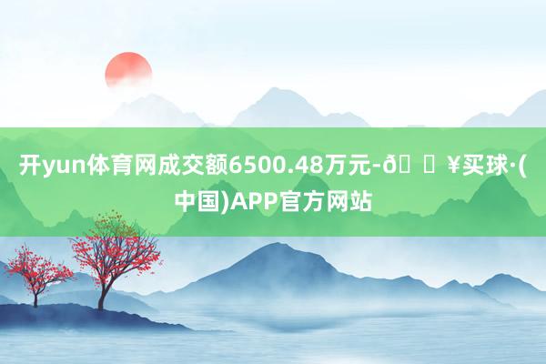 开yun体育网成交额6500.48万元-🔥买球·(中国)APP官方网站