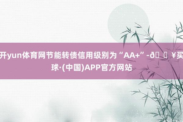 开yun体育网节能转债信用级别为“AA+”-🔥买球·(中国)APP官方网站