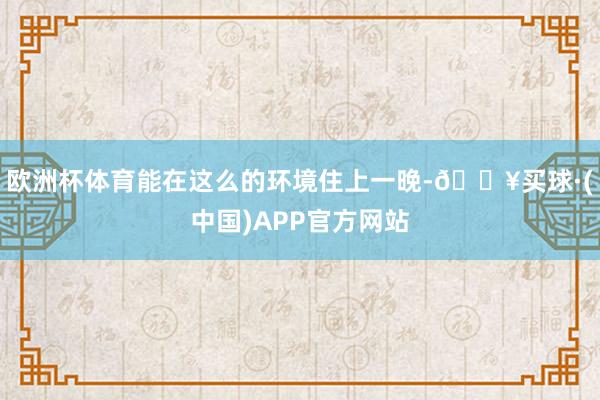 欧洲杯体育能在这么的环境住上一晚-🔥买球·(中国)APP官方网站