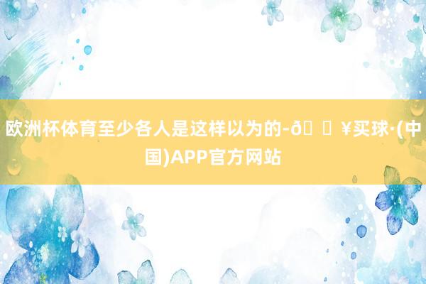 欧洲杯体育至少各人是这样以为的-🔥买球·(中国)APP官方网站