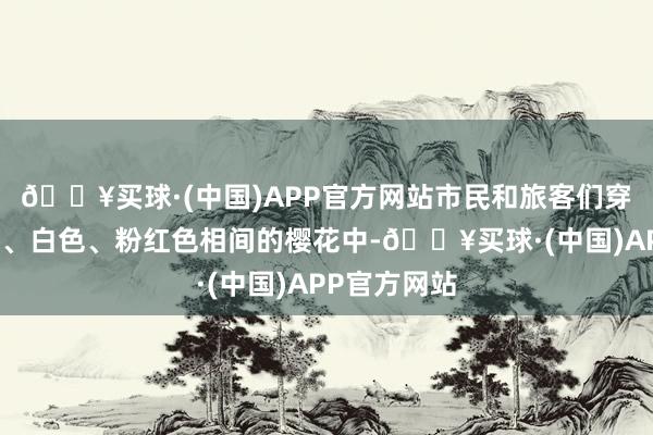 🔥买球·(中国)APP官方网站市民和旅客们穿梭在火红色、白色、粉红色相间的樱花中-🔥买球·(中国)APP官方网站