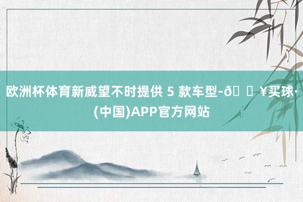 欧洲杯体育新威望不时提供 5 款车型-🔥买球·(中国)APP官方网站