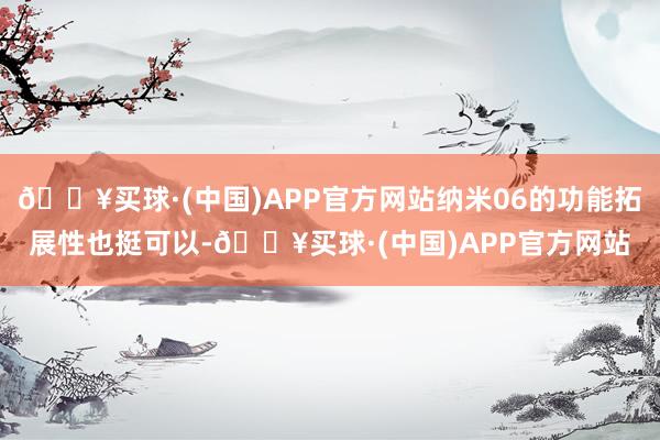 🔥买球·(中国)APP官方网站纳米06的功能拓展性也挺可以-🔥买球·(中国)APP官方网站