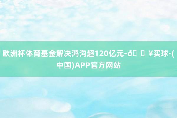 欧洲杯体育基金解决鸿沟超120亿元-🔥买球·(中国)APP官方网站