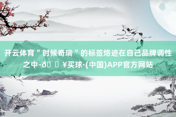开云体育＂时候奇瑞＂的标签烙迹在自己品牌调性之中-🔥买球·(中国)APP官方网站