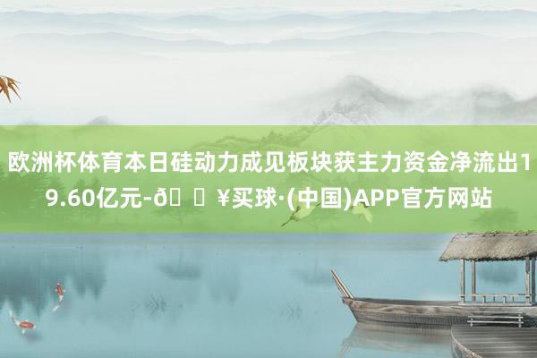 欧洲杯体育本日硅动力成见板块获主力资金净流出19.60亿元-🔥买球·(中国)APP官方网站