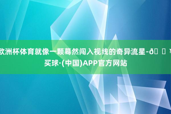 欧洲杯体育就像一颗蓦然闯入视线的奇异流星-🔥买球·(中国)APP官方网站