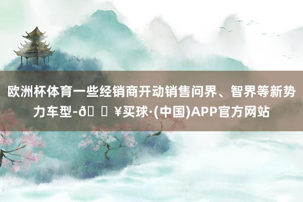 欧洲杯体育一些经销商开动销售问界、智界等新势力车型-🔥买球·(中国)APP官方网站
