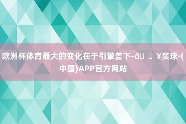 欧洲杯体育最大的变化在于引擎盖下-🔥买球·(中国)APP官方网站
