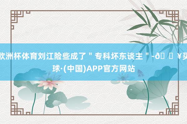 欧洲杯体育刘江险些成了＂专科坏东谈主＂-🔥买球·(中国)APP官方网站