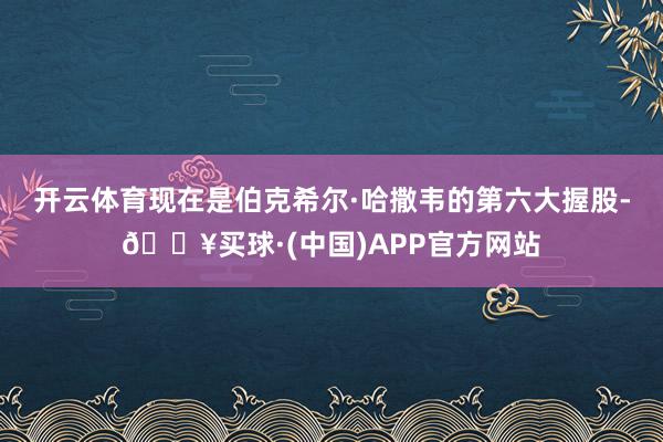 开云体育现在是伯克希尔·哈撒韦的第六大握股-🔥买球·(中国)APP官方网站