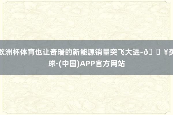 欧洲杯体育也让奇瑞的新能源销量突飞大进-🔥买球·(中国)APP官方网站